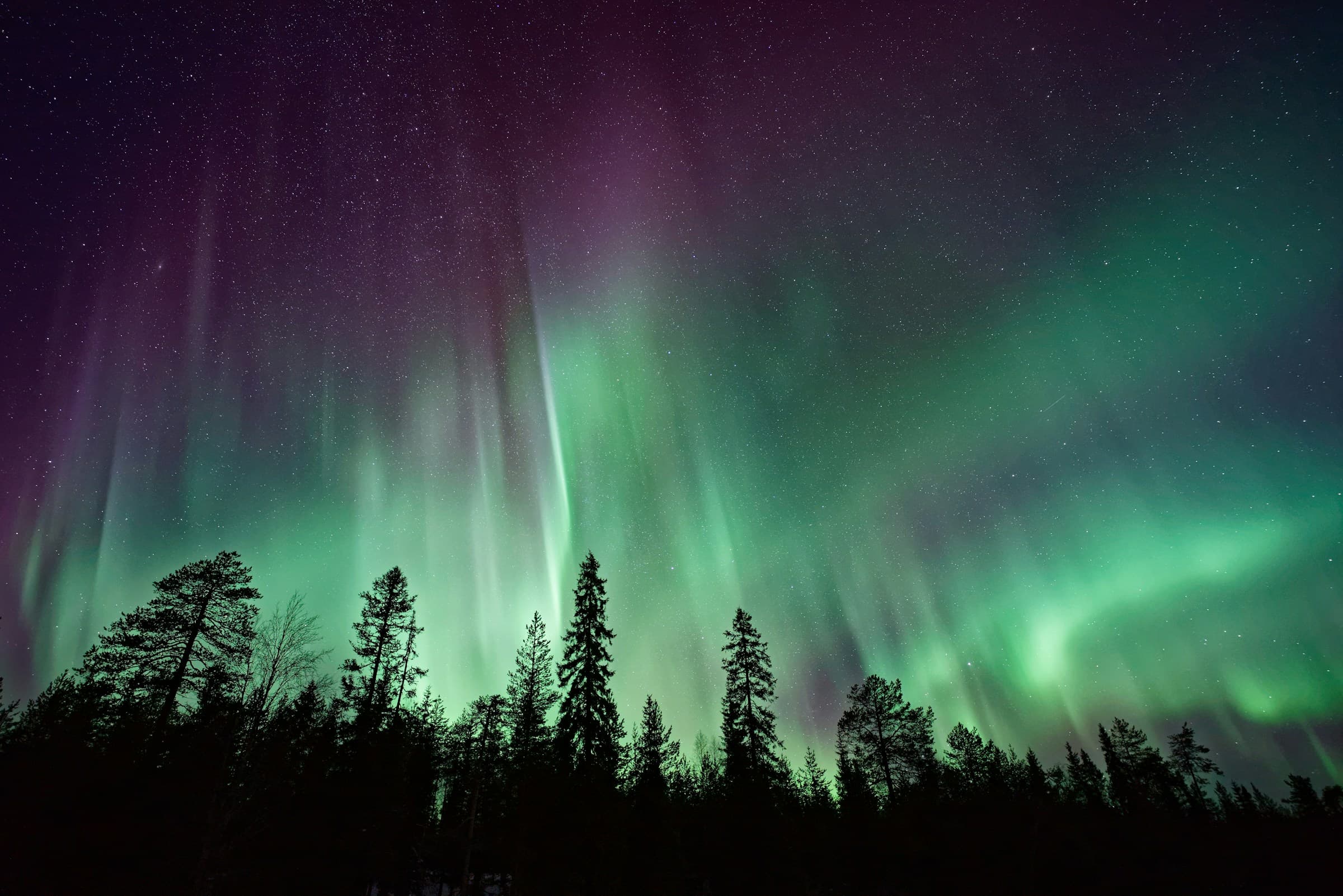 Weiter Himmel über einem stillen nordischen Wald